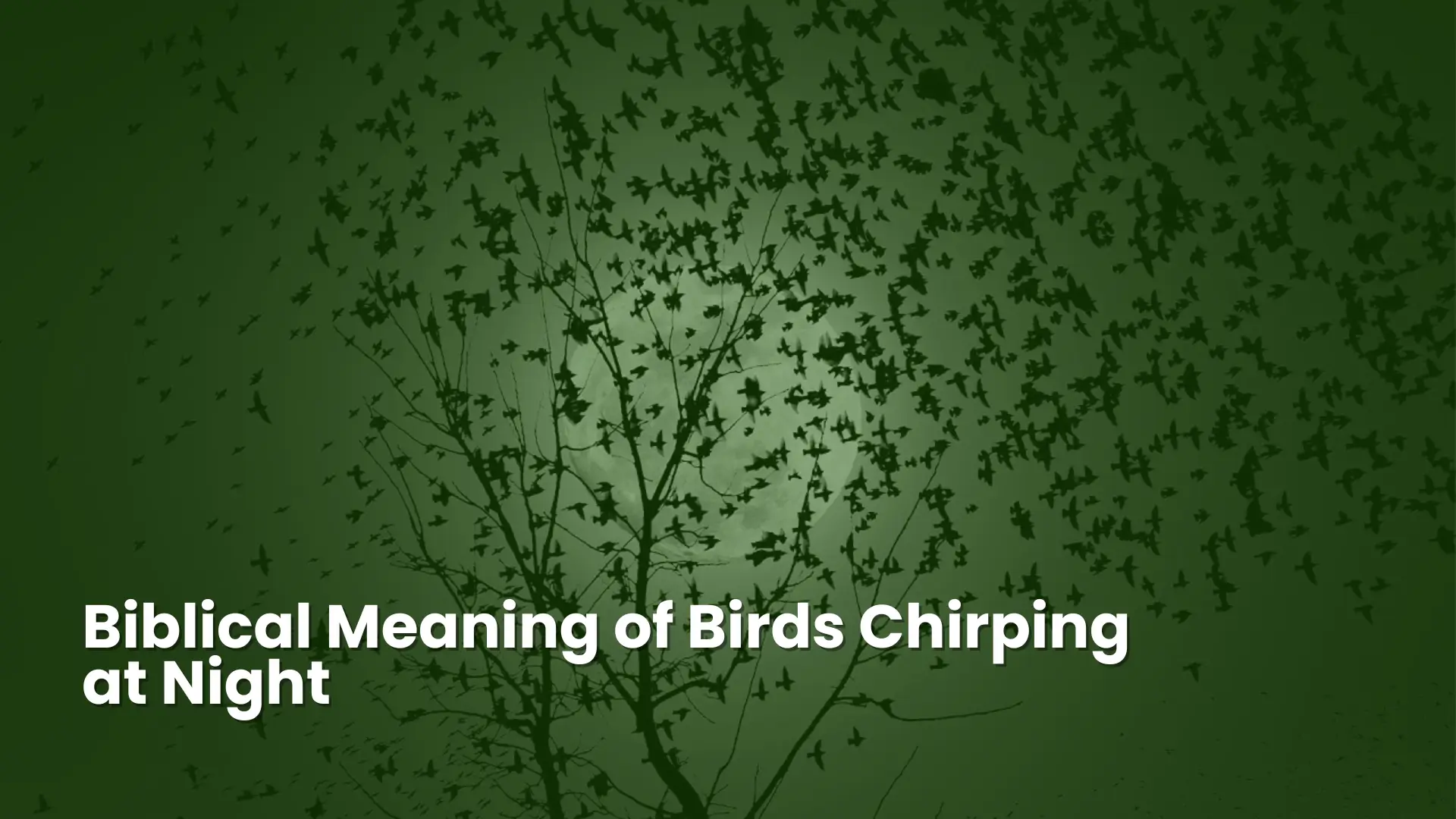 Why Do Birds Chirp At Night? Spiritual Meaning 1 Biblical Meaning of Birds Chirping at Night