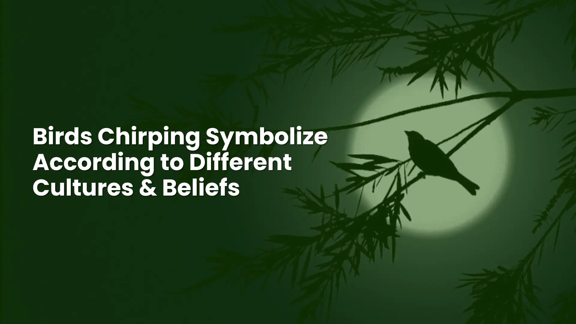 Why Do Birds Chirp At Night? Spiritual Meaning 3 Birds Chirping Symbolize According to Different Cultures and Beliefs