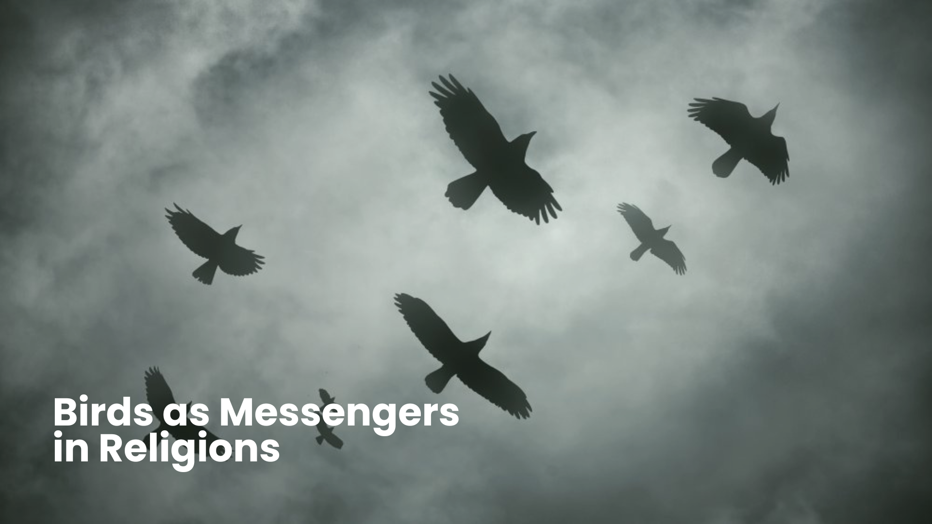 12 Spiritual Insights Behind Bird Flying in House Meaning 2 Birds as Messengers in Religions