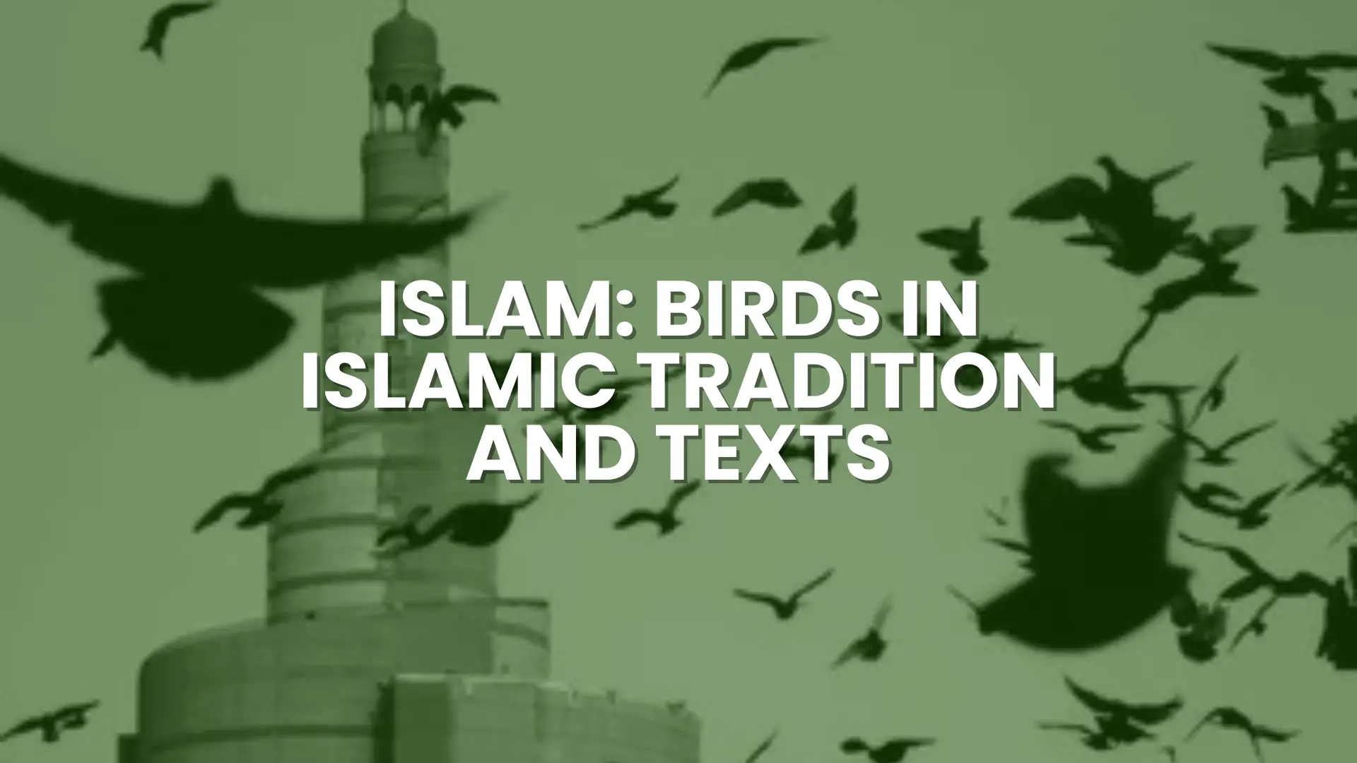 12 Spiritual Insights Behind Bird Flying in House Meaning 3 Islam: Birds in islamic tradition and texts