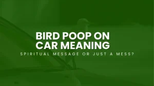 Bird Poop on Car Meaning