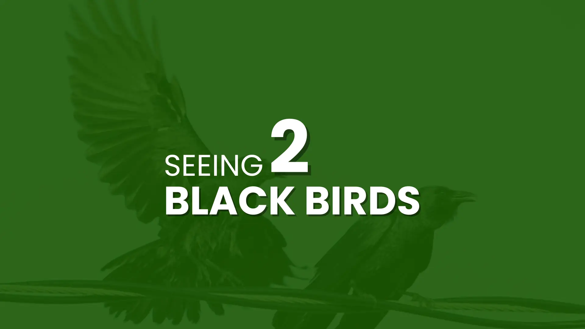 Seeing Black Birds Spiritual Meaning: Signs & Symbolism 1 Seeing 2 Black Birds Spiritual Meaning