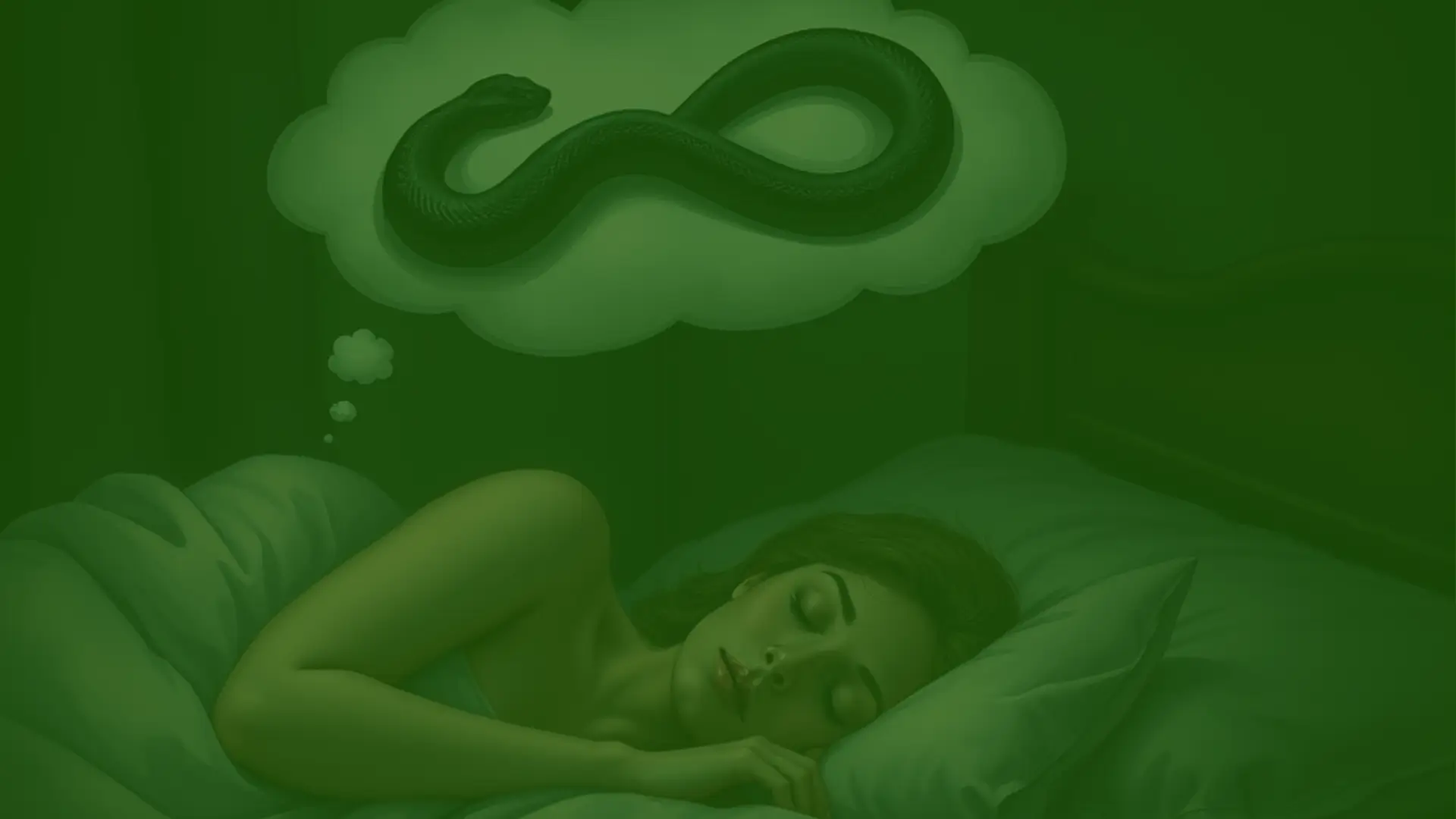 What Does a Black Snake Mean Spiritually in Dream? 1 black snake mean spiritually in dream