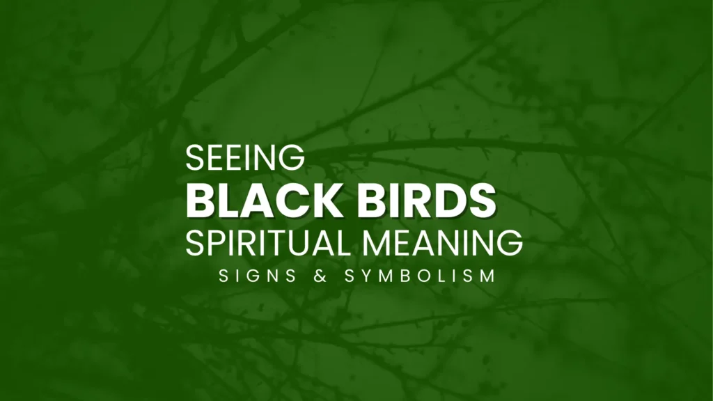 seeing black birds spiritual meaning