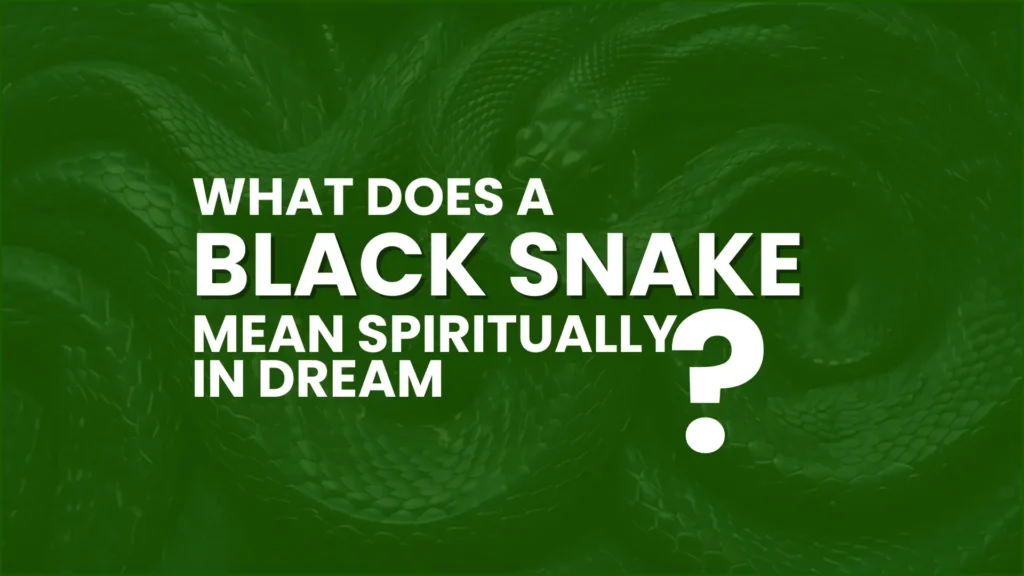 what does a black snake mean spiritually in dream