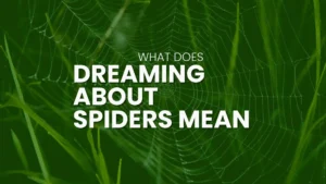 what does it mean if u dream about spiders